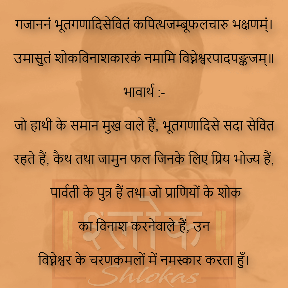 Shlok-gyan--372